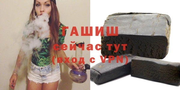 шишки Сатка