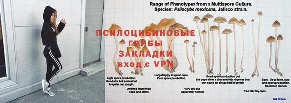 мяу мяу мука Абинск