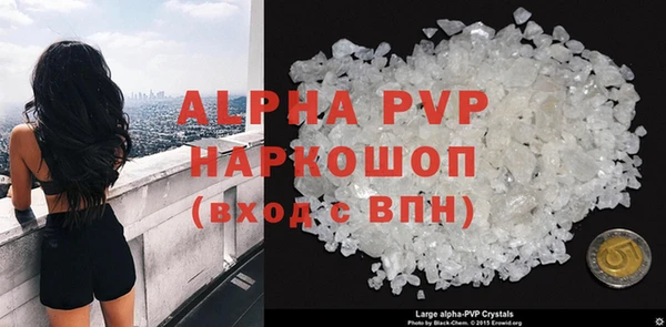 прущие грибы Сафоново