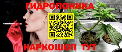 крисы Тверь