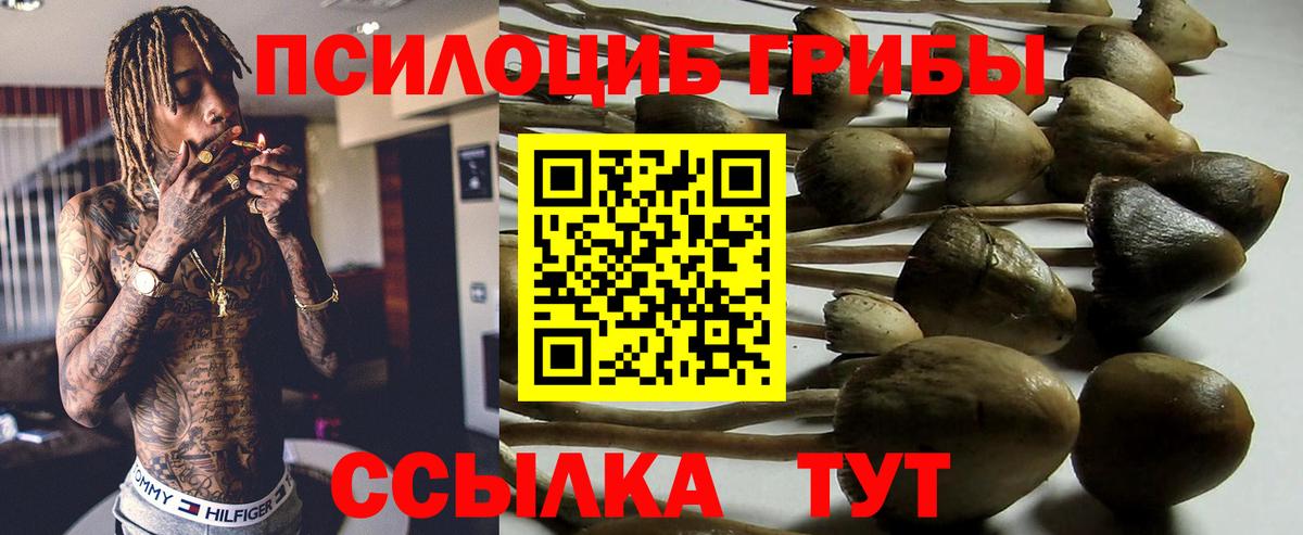 Моршанск  Галлюциногенные грибы ЛСД  Псилоцибиновые грибы ЛСД  Вход с VPN 